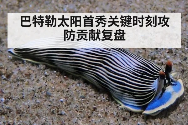 巴特勒太阳首秀关键时刻攻防贡献复盘